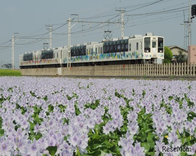 自作ダイヤで運行する臨時列車、スカイツリートレインに乗車