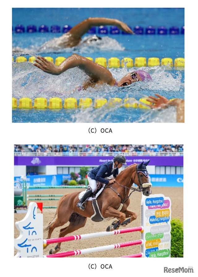 都内で開催される水泳と馬術 (c) OCA