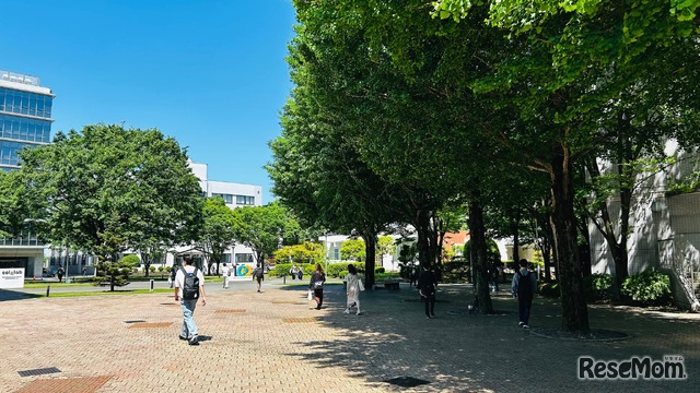 東京工芸大学工学部 厚木キャンパスのようす