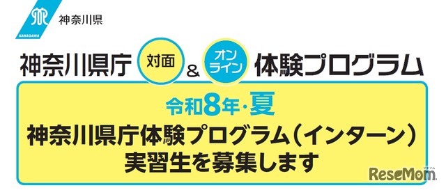 令和8年・夏 神奈川県庁体験プログラム（インターン）