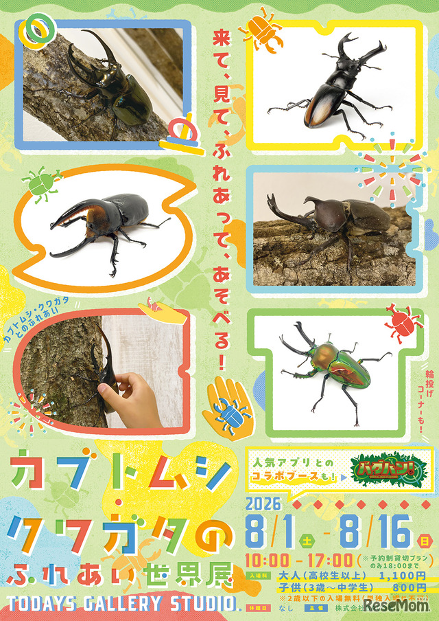 カブトムシ・クワガタのふれあい世界展 2026