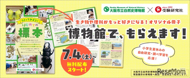 夏休みの自由研究・調べ学習を応援「つくってみよう！はじめての標本」無料冊子を配布