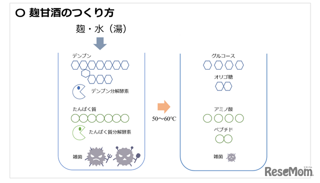 麹甘酒のつくり方（「第11回日本微生物学連盟フォーラム」八海醸造 倉橋敦さんの発表資料より）