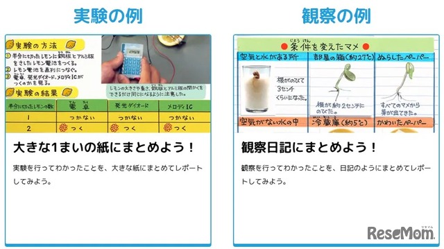 まとめ方のコツ（実験の例、観察の例）