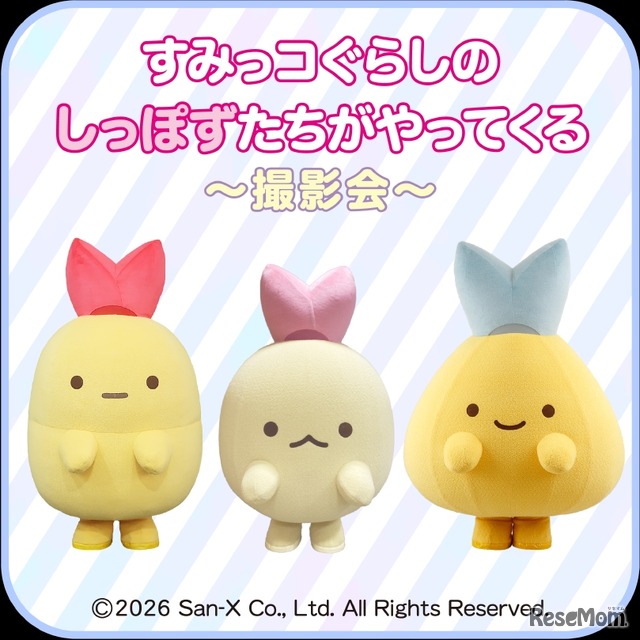 すみっこぐらしのしっぽずたちがやってくる～撮影会～