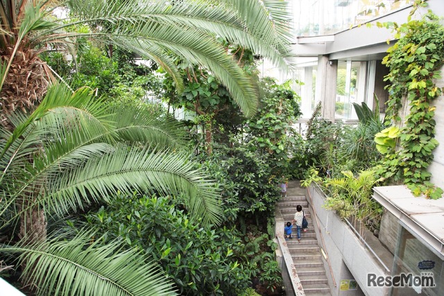 板橋区立熱帯環境植物館