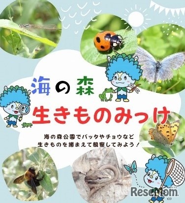 生きもの観察（海の森公園）