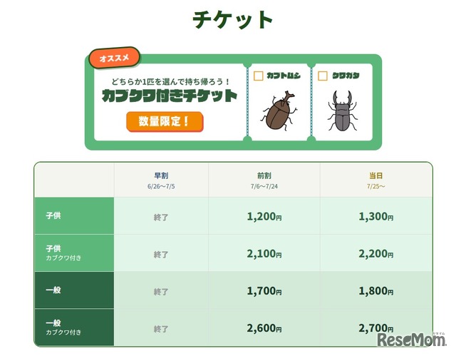 チケット