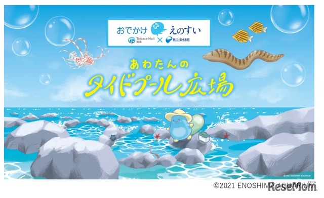 出張水族館「おでかけえのすい」(c)ENOSHIMA AQUARIUM