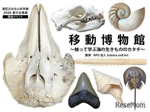 特別体験展示 移動博物館～さわって学ぶ海の生きもののカタチ