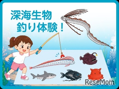 深海生物釣り体験！