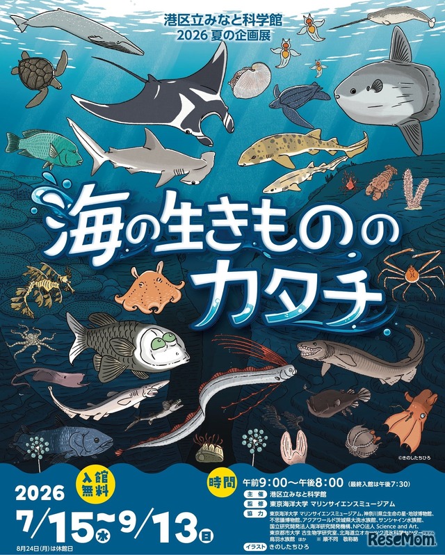 2026 夏の企画展 海の生きもののカタチ