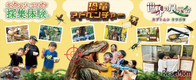 カブトムシ・クワガタイベントなど
