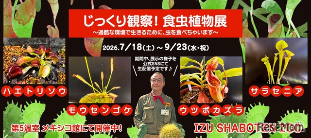 「じっくり観察！食虫植物展」