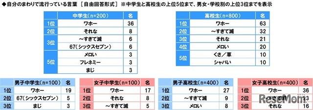 自分のまわりで流行っている言葉