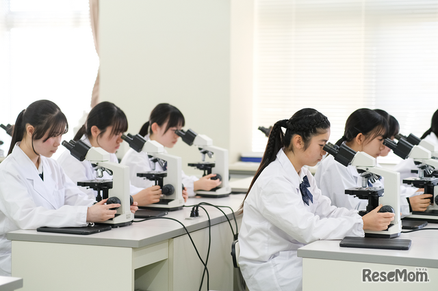 自然科学分野の探究学習を行う