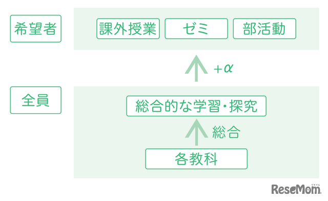 個々の卓越性を伸ばすプログラムの流れ