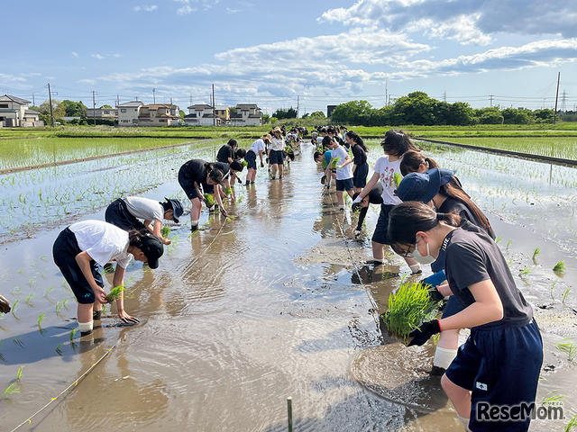 田植えから始まる「食と農」を中心とした探究学習
