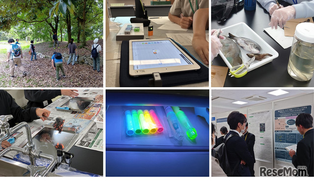 広島大学「次世代科学技術チャレンジプログラム」