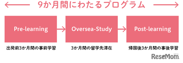 充実した海外研修や留学プログラムによるグローバル教育