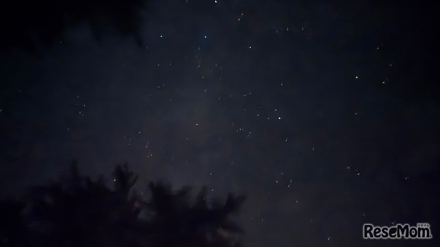 寝転がって見上げた星空
