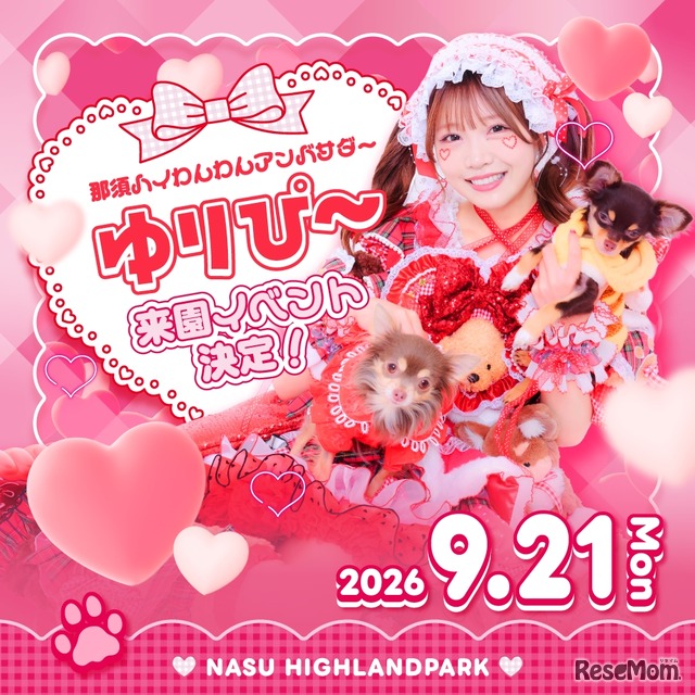 ゆりぴ～