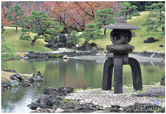 園内風景（2025年11月のようす）
