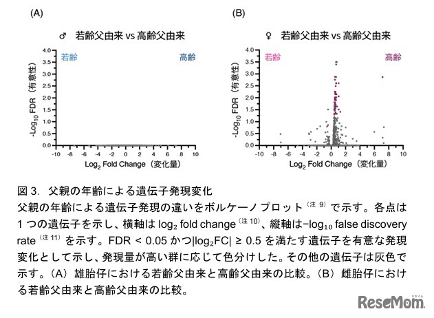 父親の年齢による遺伝子発現変化
