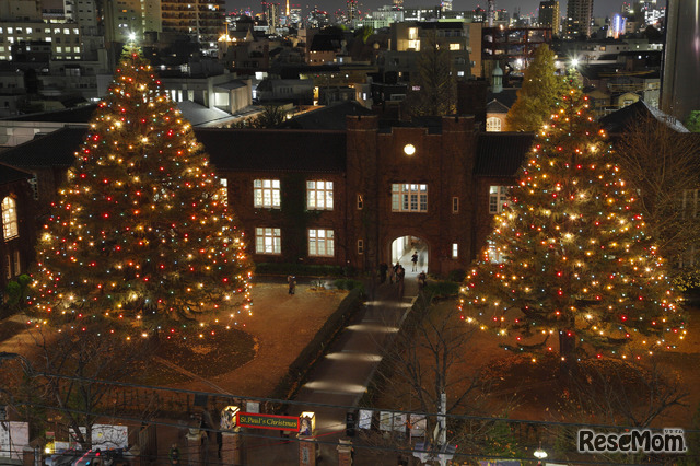 立教大学で12 4 クリスマスツリー点灯式 2枚目の写真 画像 リセマム