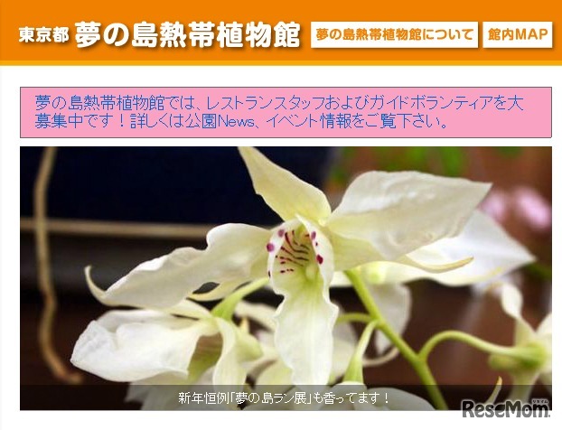 夢の島熱帯植物館（Webサイト）