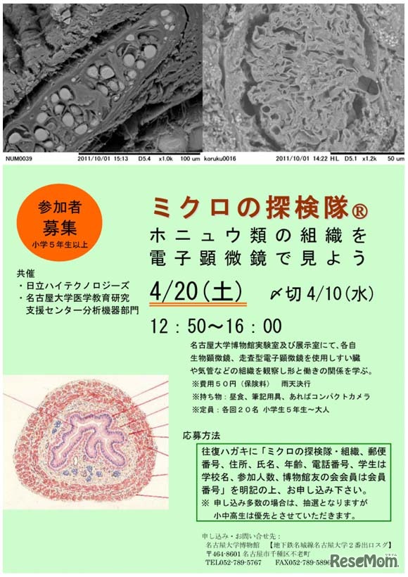 ミクロの探検隊「ホニュウ類の組織を電子顕微鏡で見てみよう」