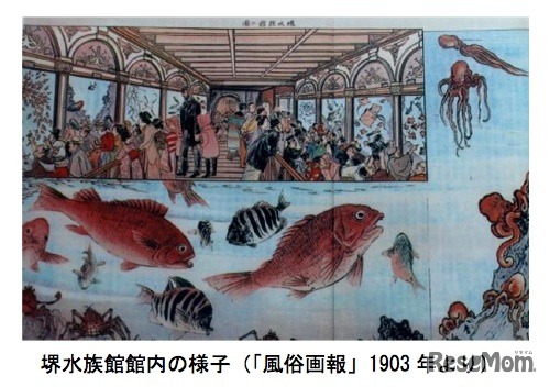 企画展示「水族館の歴史と海遊館」堺水族館館内の様子（「風俗画像」1903年より）