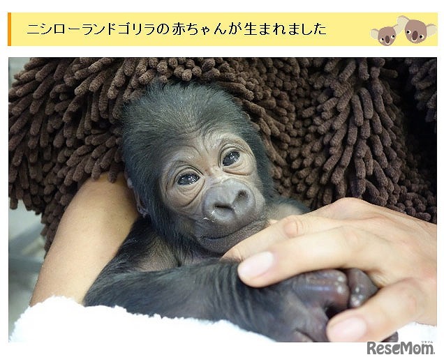 動物園