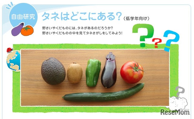 自由研究のくわしい紹介ページ