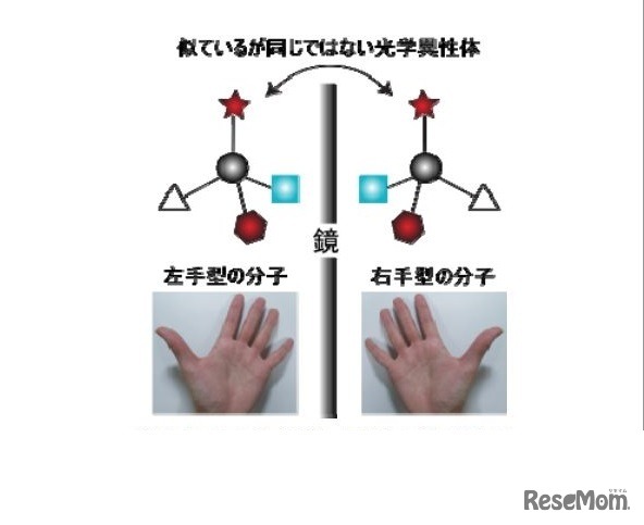 似ている同じではない光学異性体