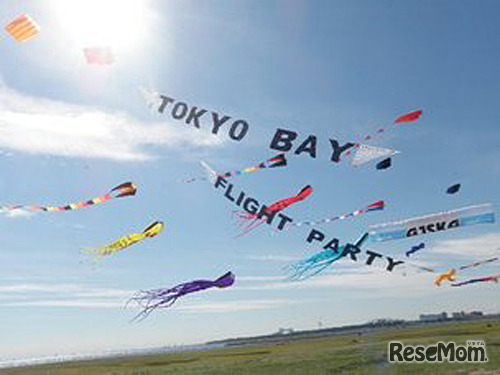 スポーツカイト全国大会「Tokyo Bay Flight party 2013」（イメージ）