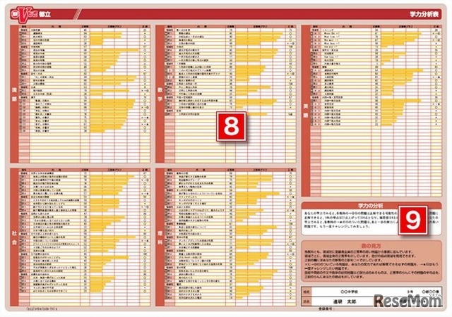 学力分析表　弱点部分が一目でわかる