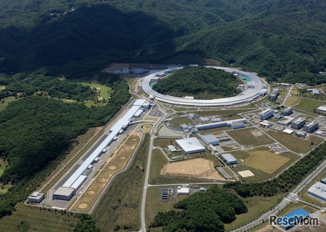 「サクラ」全景