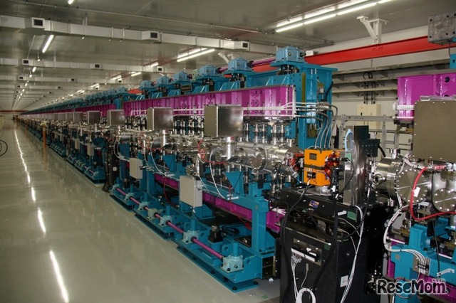 「サクラ」施設内