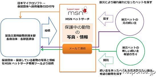 日本マイクロソフト MSNペットサーチ