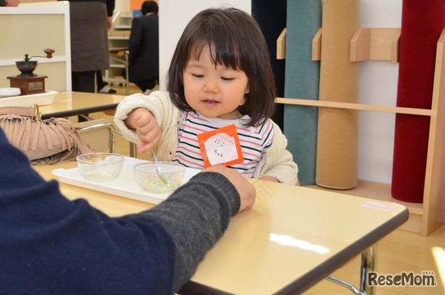 モンテッソーリの教具に取組む幼児