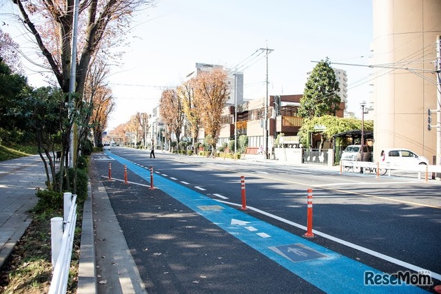 埼大通りの自転車通行帯
