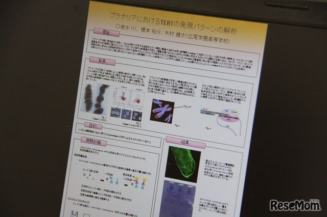 プラナリアによる幹細胞再生を特定化する研究