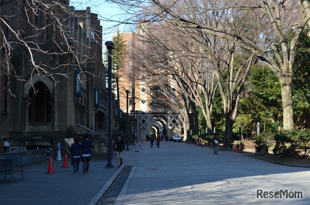 東京大学