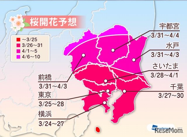 関東地方の桜開花予想