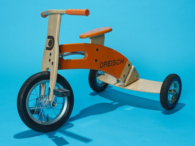 Dreisch Leaning Tricycle