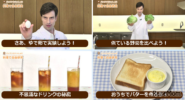 クックパッド・料理で自由研究特集