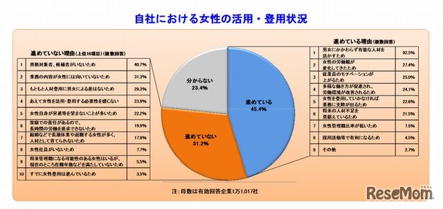 女性の活用・登用状況