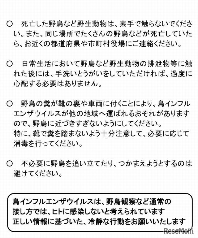 野鳥との接し方