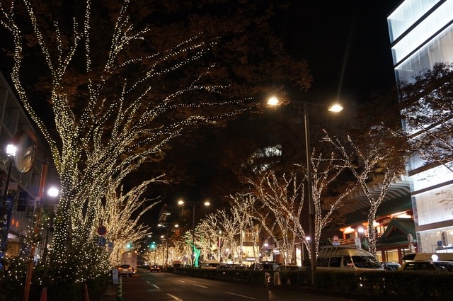 東京・表参道でイルミネーション点灯開始